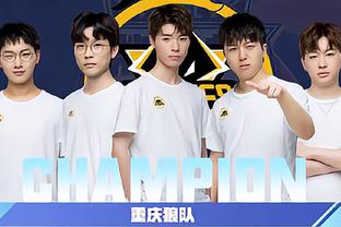 级目标