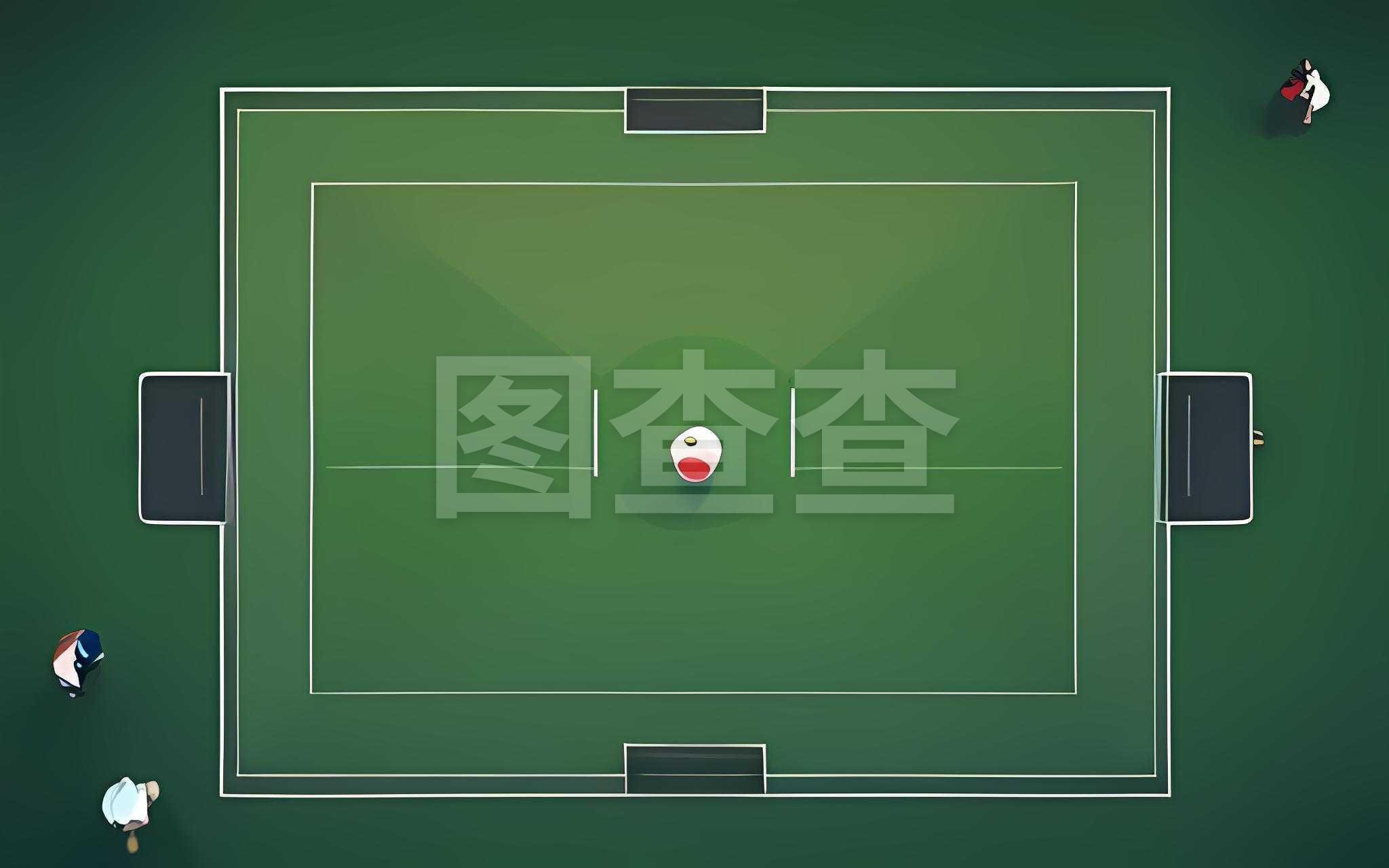 球迷的种族