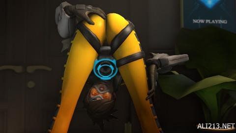 教练研究的 教练研究的