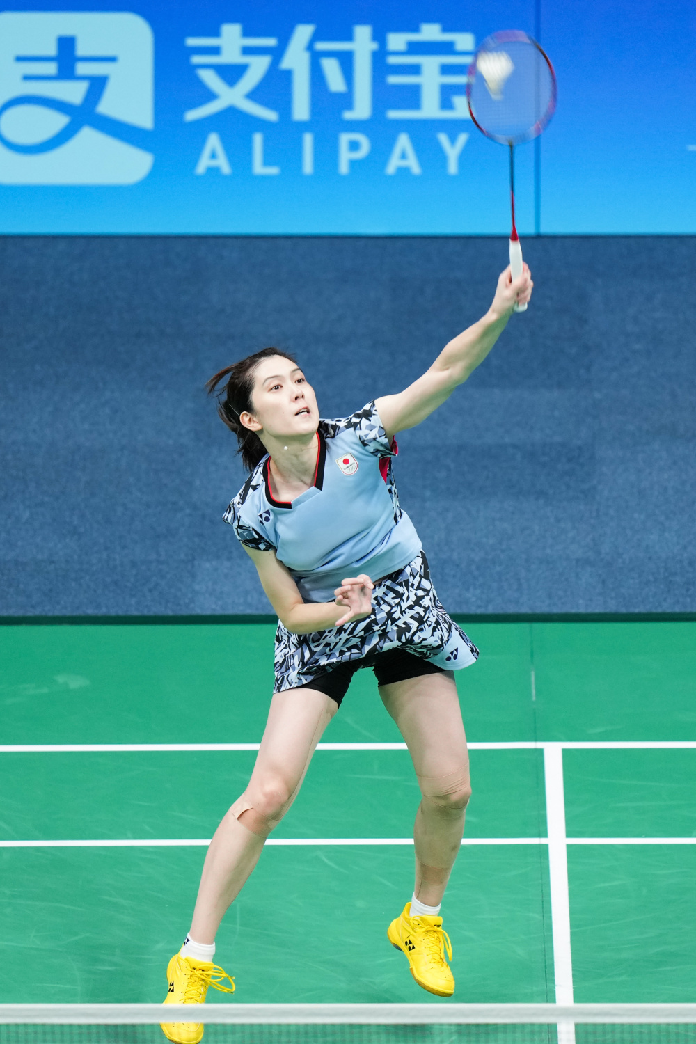 导的今天 导的今天